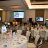 Art-Creativity-for-Healing-Gala-078-1170